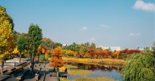 Image for article 7 Best Places to Witness Fall Foliage in South Korea 2024