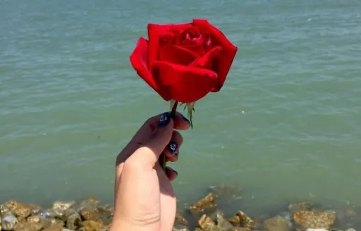 Image for article How Travelling with my Boyfriend Defined Our Relationship