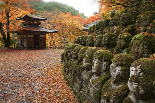 Image for article 8 Must-Visit Temples in Kyoto