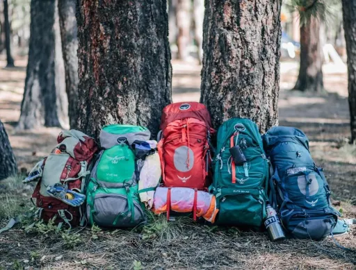 Image for article Travel Backpack Brands You Can Find in Singapore – Osprey, Deuter & More
