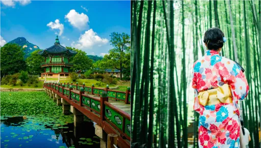 Image for article Japan vs. Korea – Who Does it Better?