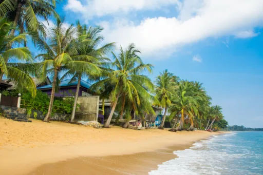 Image for article Top Destinations for a Memorable Short Trip From Singapore