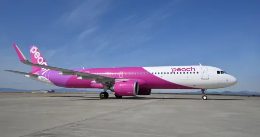 Image for article Peach Aviation Launches New Direct Flights from Singapore to Osaka