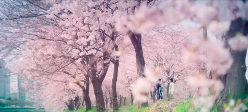 Image for article Korean Drama and K-Pop Activities and Experiences in South Korea