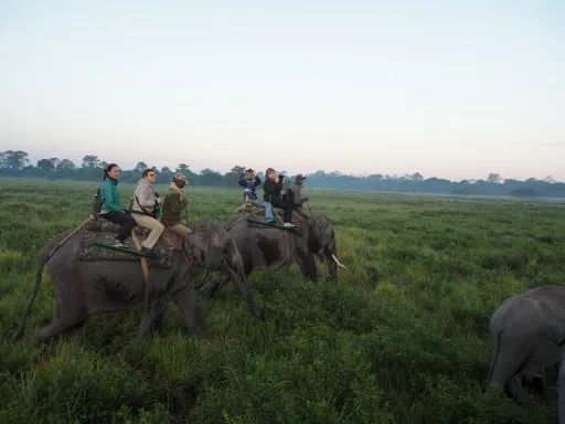 Image for article 8 Awesome Reasons to Visit Assam on Your Next India Trip