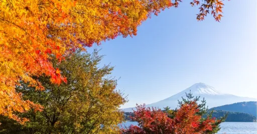 Image for article Japan Autumn 2024 Forecast: When and Where to See