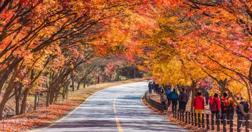 Image for article 6 Most Scenic Hiking Trails in South Korea During Autumn