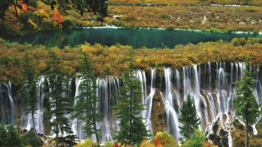 Image for article NATAS Travel Fair August 2024: The Best Asia Travel Deals!