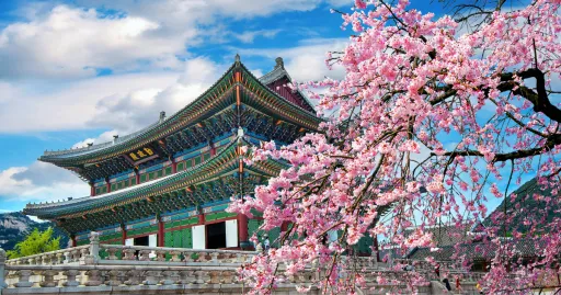 Image for article South Korea Welcomes Remote Workers with New Digital Nomad Visa