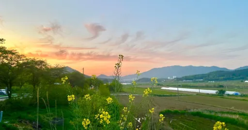 Image for article 7D6N Jeolla-Do Itinerary: Things to Do in South Korea’s Hidden Coastal Gem