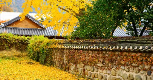 Image for article Autumn in Korea: Reasons Why Fall is the Best Season to Visit Jeju, Busan, and More