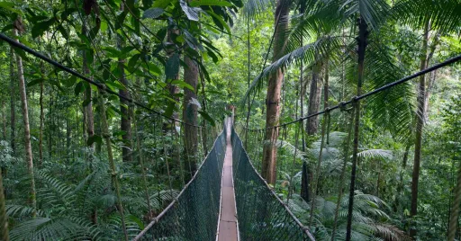 Image for article 12 Best Day Trips From Kuala Lumpur & How to Get There