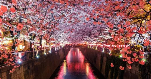 Image for article Japan is Considering a Dual Price System That Could Mean Higher Price for Foreign Tourists