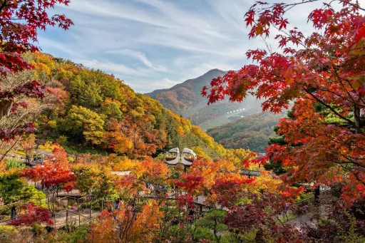Image for article Experience Wellness in Korea: Discover Tranquility and Rejuvenation at Korea’s Premier Wellness Destinations