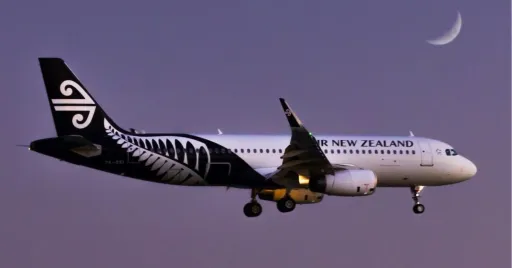 Image for article Air New Zealand Flight Encounters Turbulence, Injuring Passenger and Crew Member