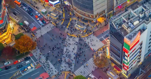 Image for article Shibuya-Shinjuku Public Drinking Ban Currently in the Works