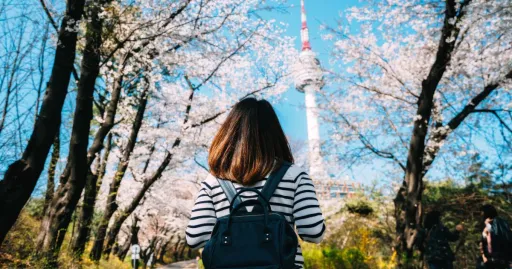 Image for article 17 Best Destinations for Solo Female Travellers