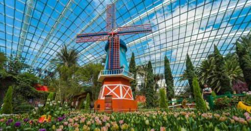 Image for article Tulipmania 2024 Is in Full Bloom at Gardens by the Bay Flower Dome