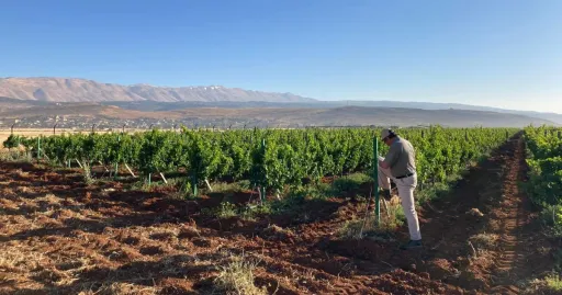 Image for article 9 Wine Regions in Asia Every Wine Lover Must Explore