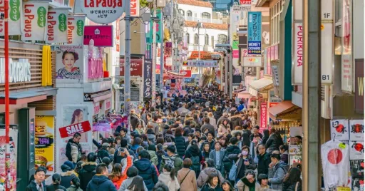 Image for article What Are The Best Times to Visit Japan: A Traveller’s Guide