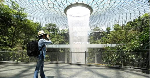 Image for article Travelling With Cash? New Online Cash Declaration Soon Required in Singapore