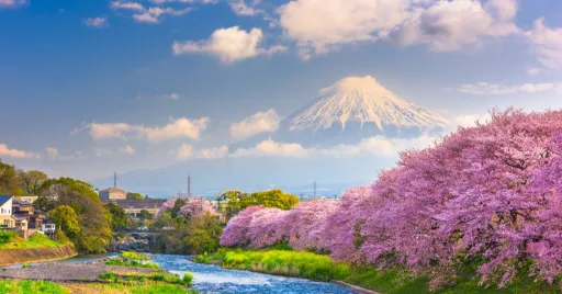 Image for article Japanese Yen Down, Tourists Up: Is Now the Perfect Time to Visit Japan?
