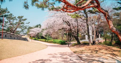 Image for article Suwon, South Korea: A Guide to the Royal City That Nearly Became South Korea’s Capital