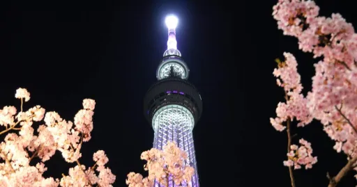 Image for article A One-Day Trip to TOKYO SKYTREE: Things to See, Do and Eat