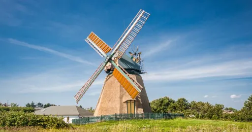 Image for article Living the Dream: The 10 Best Countries for Work-Life Balance