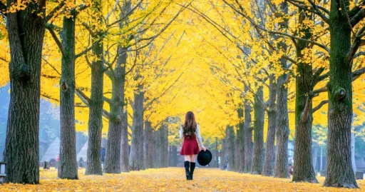 Image for article 11 Small Towns & Villages in South Korea for a Dreamy Rural Getaway