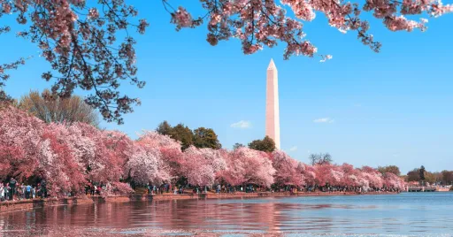 Image for article Spring Vacations in the US: 10 Scenic Places to Visit This Season