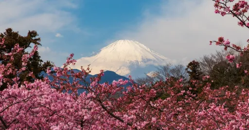 Image for article Early Cherry Blossom in Japan: 10 Sakura Spots That Bloom as Early as February