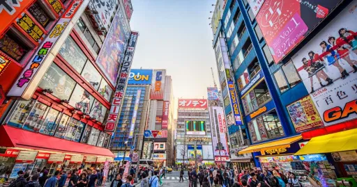 Image for article Top Destinations in Japan for Anime Fans