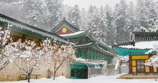 Image for article 10 Best Winter Destinations in Asia for Your Next Holiday