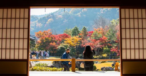 Image for article Japan Fall Foliage 2023 Forecast: When & Where to See Autumn Leaves