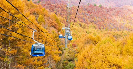 Image for article 10 Places in Niigata Prefecture to Admire the Vivid Beauty of Autumn