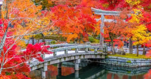 Image for article Autumn Season in Japan: 15 Things to Do & Places to Visit