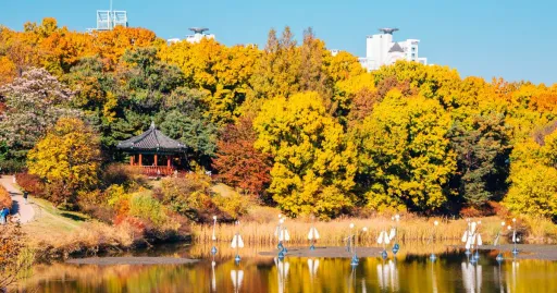 Image for article 14 Best Things to Do & Places to Visit in Seoul During Autumn