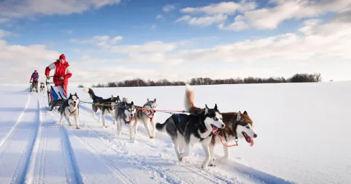 Image for article Top Ways to Fulfill Your Dream European Getaway in 2023