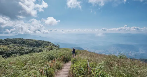 Image for article Chiang Mai 3D2N Itinerary: Things to See and Do in Northern Thailand