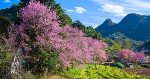 Image for article 10 Best Natural Attractions in Chiang Mai for a Therapeutic Trip