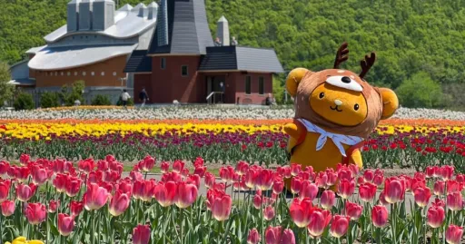 Image for article These All-Expenses-Paid Tours to Japan Are Up For Grabs for All Singaporeans!