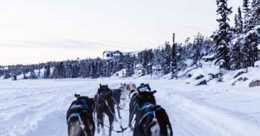 Image for article Top 10 Coldest Cities in the World for True Winter Lovers