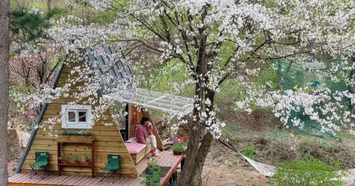 Image for article 13 Magical Cabin Retreats in South Korea to Book on Airbnb