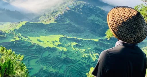 Image for article Apps You Will Need if You Are Planning a Trip to the Philippines