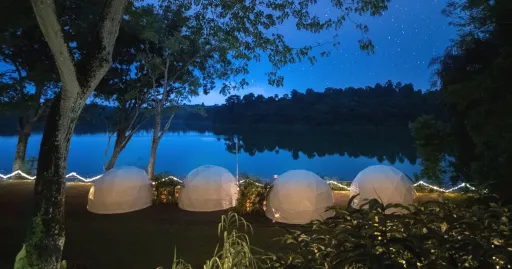 Image for article Singapore Zoo Is Bringing Back ‘Glamping in the Wild’ in April 2023