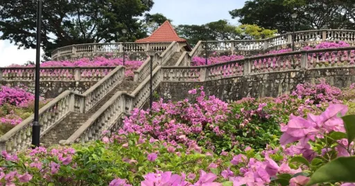 Image for article ‘Spring’ in Singapore: 12 Parks & Gardens for a Floral Season Close to Home