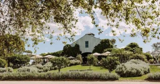 Image for article 9 Best Wineries in New South Wales: Hunter Valley, Mudgee, and Beyond