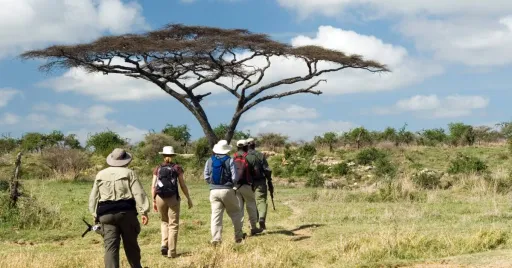 Image for article How to Pack Right for Your Upcoming Safari Trip