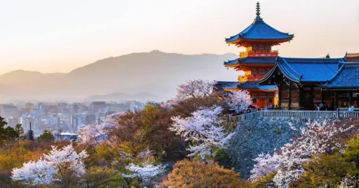 Image for article Kyoto Sakura Season Guide: Everything You Need to Know for Your Trip
